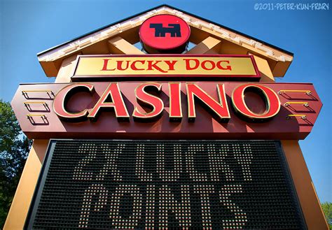 the lucky dog casino|little dog casino.